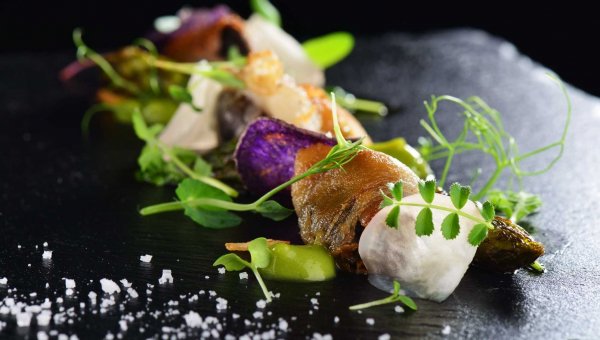 13243 Shutterstock 405993604 Orig