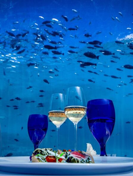 13131_hurawalhi5.8underwaterrestaurant5_orig-1.jpg