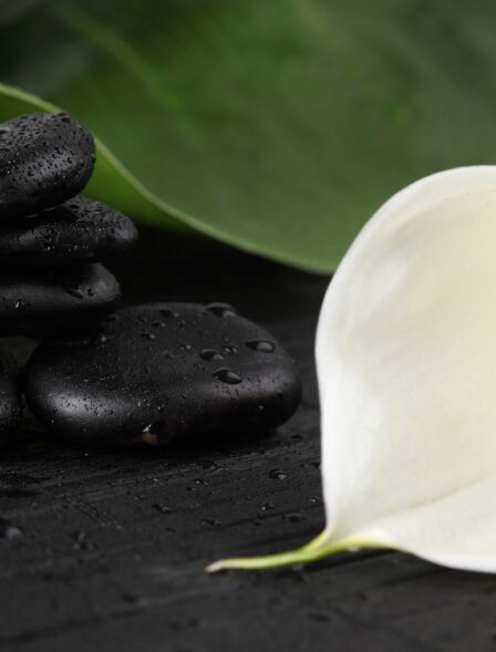 6914_spa-4_orig-1.jpg