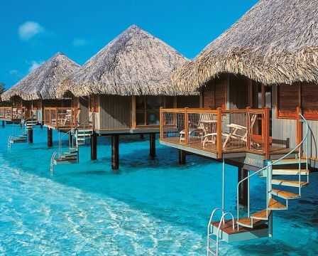 8141_fs-small-3_orig-1.jpg