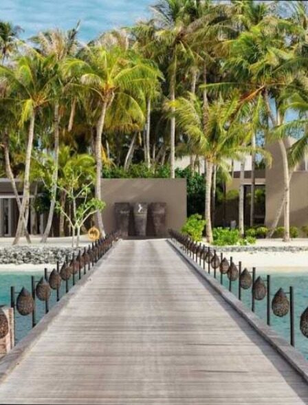 7353_cheval-blanc-8_orig-1