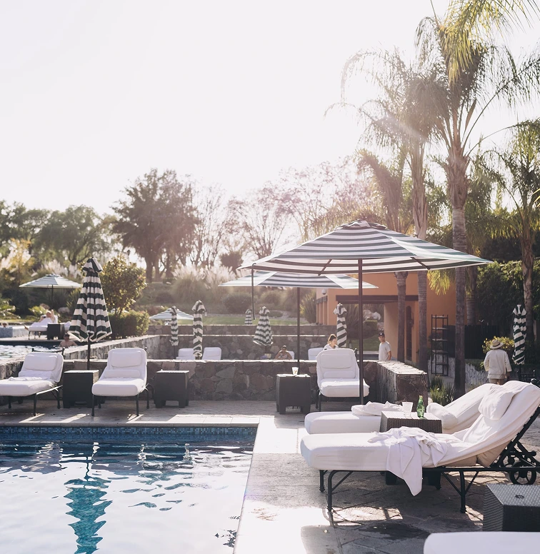 Industry Professional 2